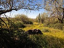 photo thumbnail #15