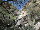 photo thumbnail #1