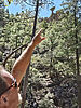 photo thumbnail #5