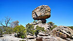 photo thumbnail #8