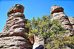 photo thumbnail #15