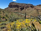 2024-04-06 :2: South Butte - Gila River :: WildForAZ
