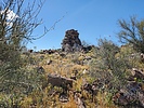 recent photo