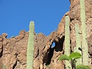 photo thumbnail #14