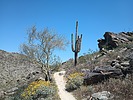 photo thumbnail #6