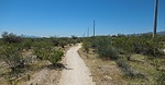 photo thumbnail #2