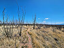 photo thumbnail #6