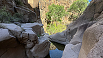 photo thumbnail #6