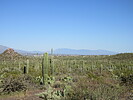 photo thumbnail #9