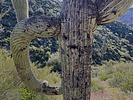 photo thumbnail #7