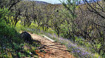photo thumbnail #12