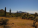 photo thumbnail #9