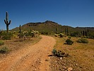 photo thumbnail #10