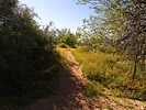 photo thumbnail #7