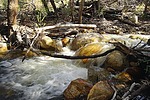 photo thumbnail #7