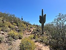 photo thumbnail #1