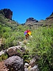 photo thumbnail #8