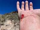 photo thumbnail #2