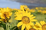 photo thumbnail #5