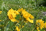 photo thumbnail #9