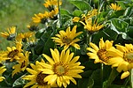 photo thumbnail #8