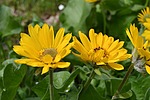 photo thumbnail #9
