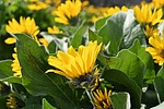photo thumbnail #6