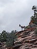 photo thumbnail #2