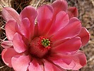 photo thumbnail #14