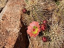 photo thumbnail #15