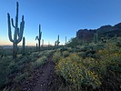 photo thumbnail #3
