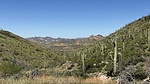 photo thumbnail #14