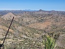 2024-04-05 :: Pajarita Wilderness :: DixieFlyer