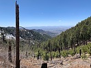 photo thumbnail #10