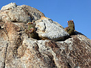 photo thumbnail #13
