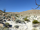 photo thumbnail #14