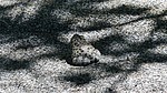 photo thumbnail #13