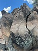 photo thumbnail #6