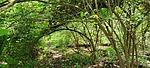 photo thumbnail #7