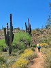 photo thumbnail #8