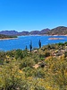 photo thumbnail #10