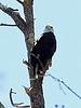 2024-04-20 :2: Goldwater Loop Trail :: outdoor_lover