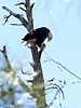 2024-04-20 :2: Goldwater Loop Trail :: outdoor_lover