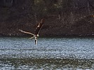 2024-04-20 :2: Goldwater Loop Trail :: outdoor_lover