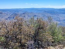 2024-04-20 :2: Tule Mesa BM 6678 from FR 68G - Verde Rim :: DixieFlyer