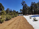 photo thumbnail #8