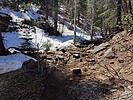 photo thumbnail #12
