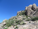 photo thumbnail #15