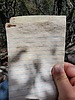 photo thumbnail #11