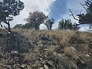 photo thumbnail #15
